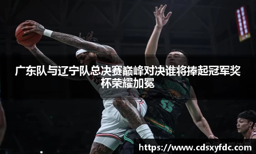 广东队与辽宁队总决赛巅峰对决谁将捧起冠军奖杯荣耀加冕