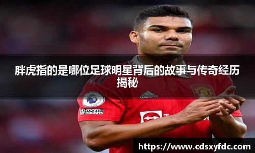 胖虎指的是哪位足球明星背后的故事与传奇经历揭秘